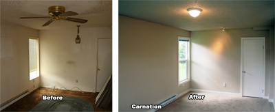 Carnation living room before and after